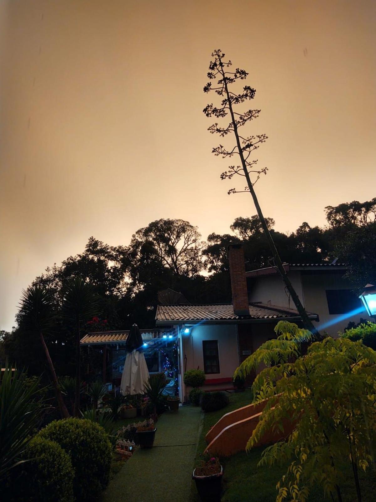 Campos do Jordão Rancho Da Raposa酒店 外观 照片