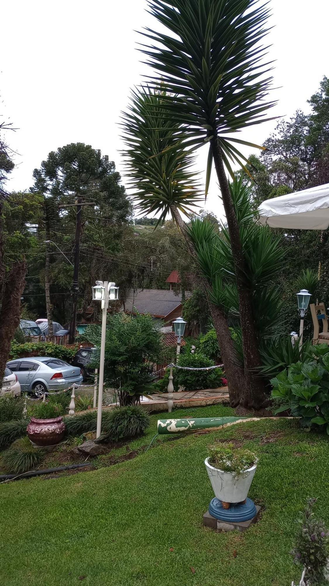 Campos do Jordão Rancho Da Raposa酒店 外观 照片